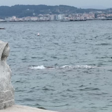 Apartamento Lordelo O Grove Zewnętrze zdjęcie